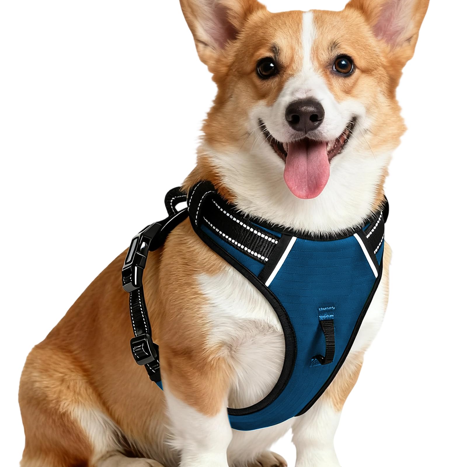 No-Pull Dog Harness — Blue