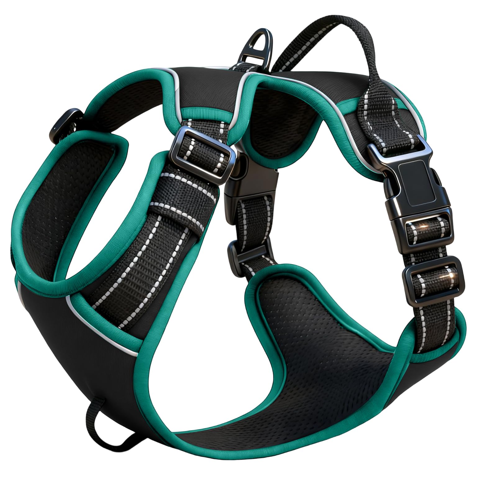 Black/Turquoise