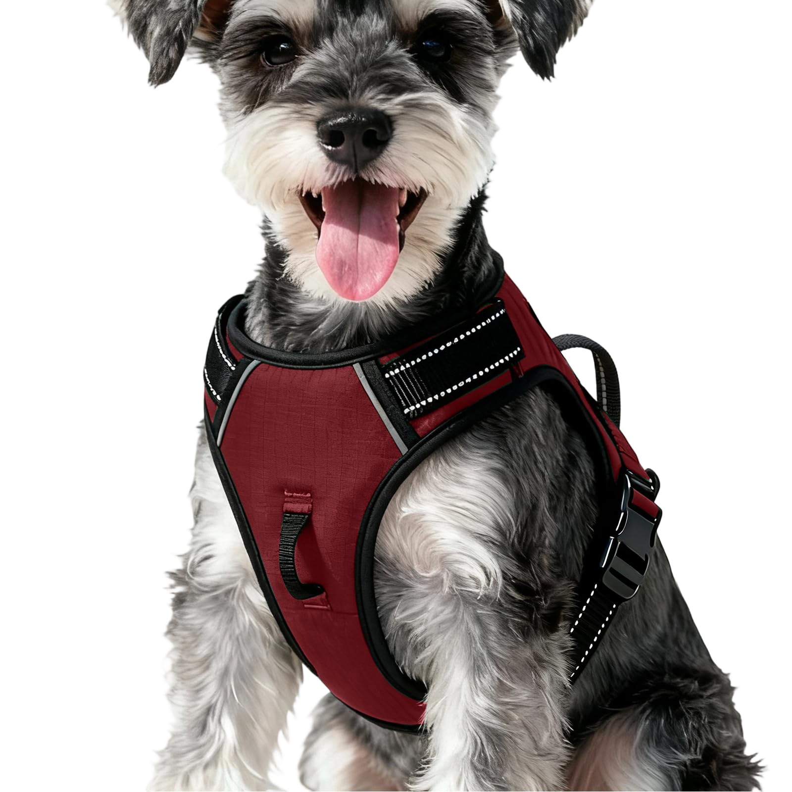 No-Pull Dog Harness — Neon Fuchsia