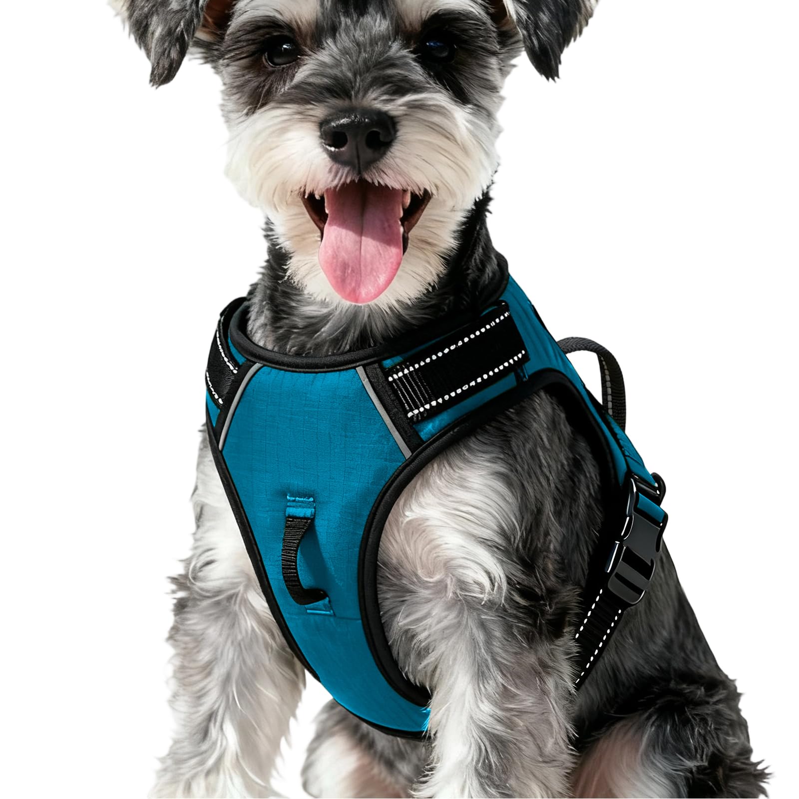 No-Pull Dog Harness — Frosted Aqua