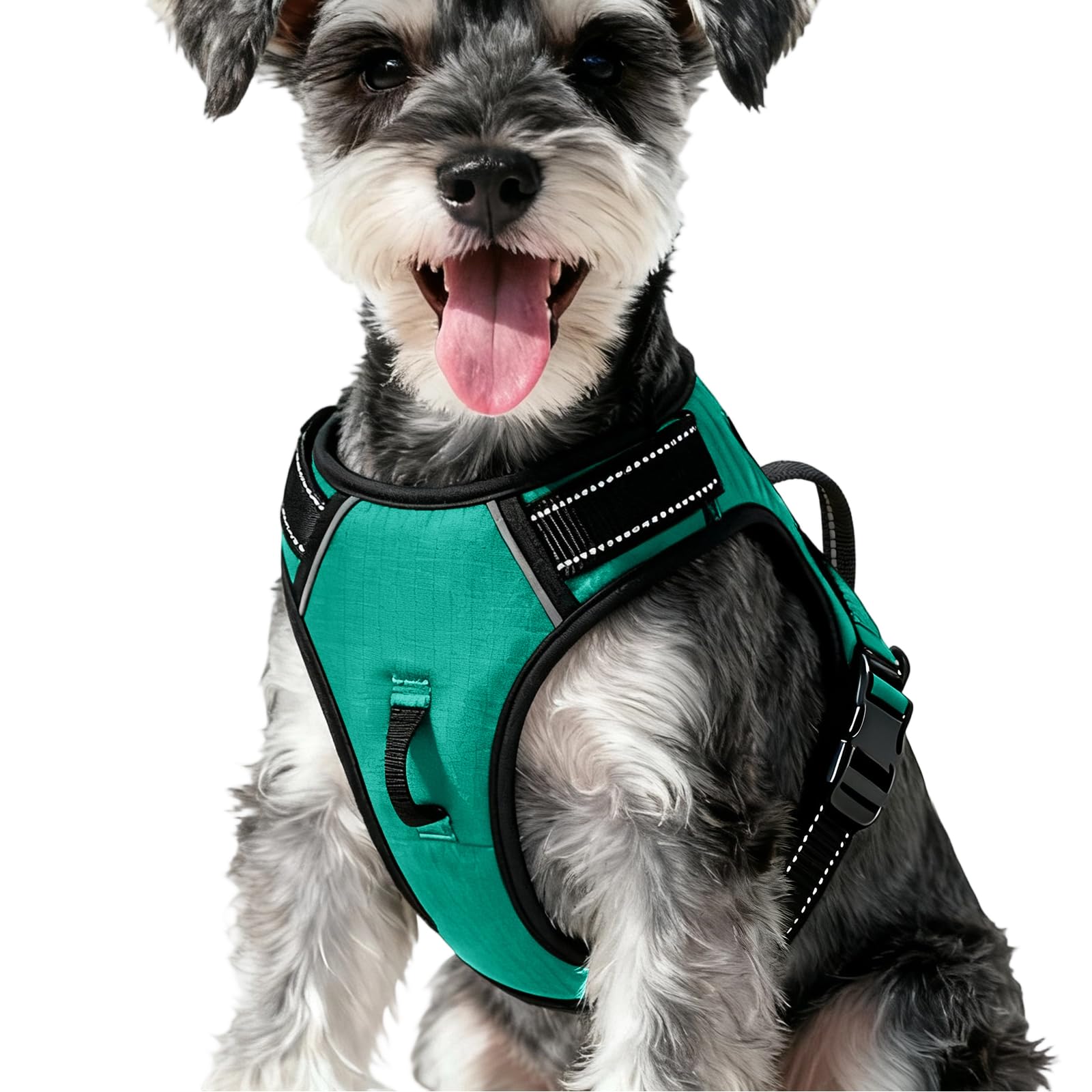No-Pull Dog Harness — Turquoise